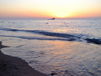 photo 1145326