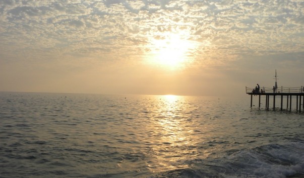 DSCN0989
