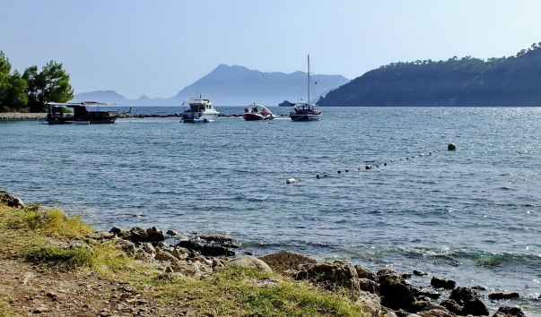 DSCF6114