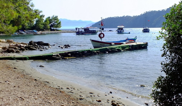 DSCF6096