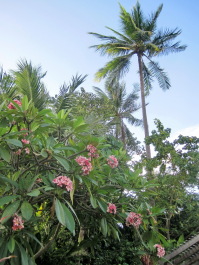 photo 1512758