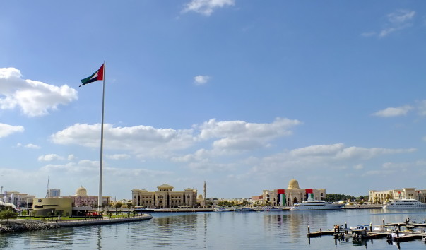 DSCF9594