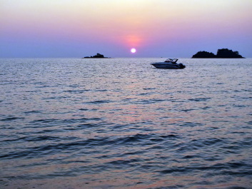 photo 1635372