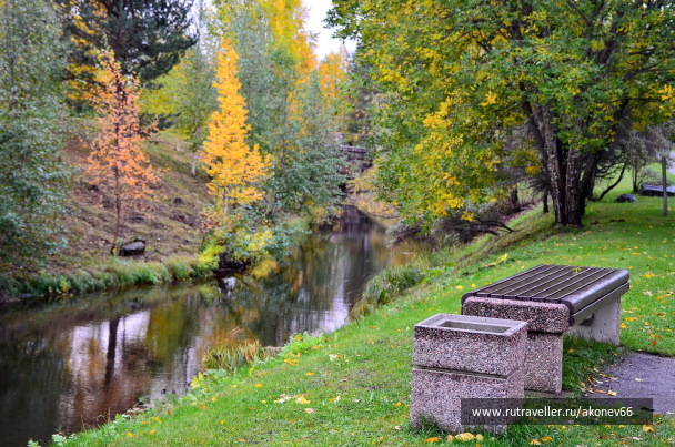 photo 1688981