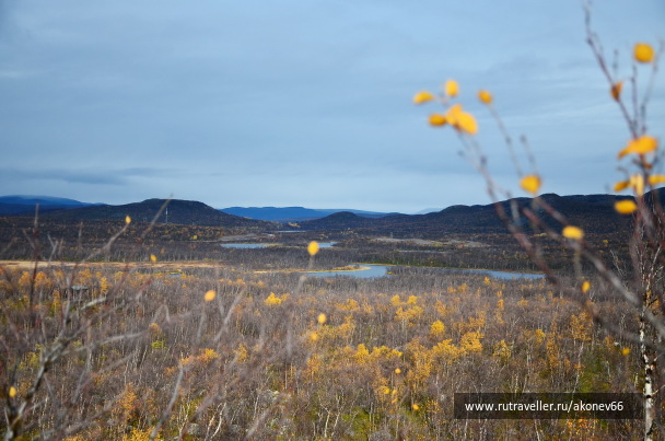 photo 1688987
