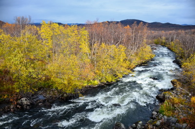 photo 1688989