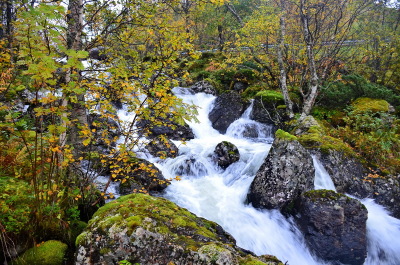 photo 1691432