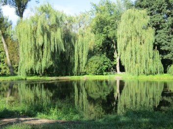 photo 465239