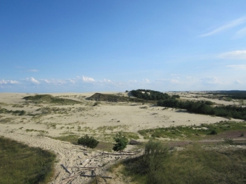 photo 496678