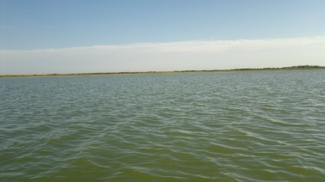 photo 468265