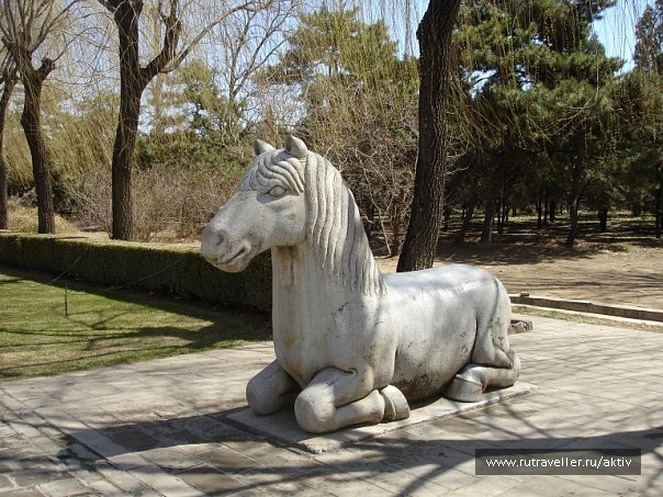photo 472904
