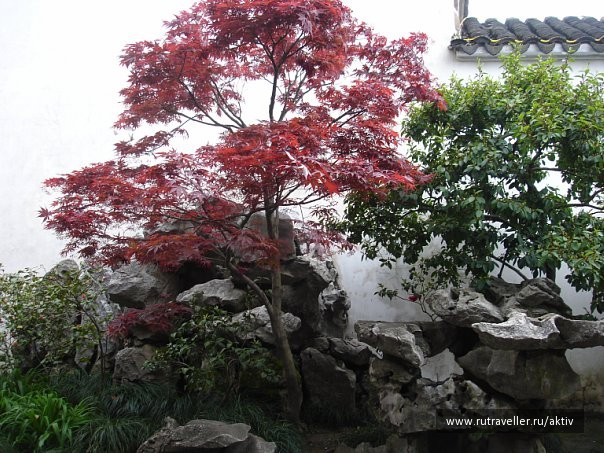 photo 472939