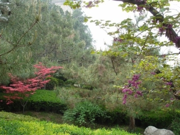 photo 473104