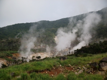 photo 480232