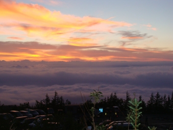 photo 480258