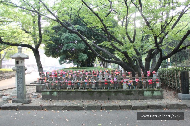 photo 480285