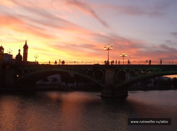 photo 469517