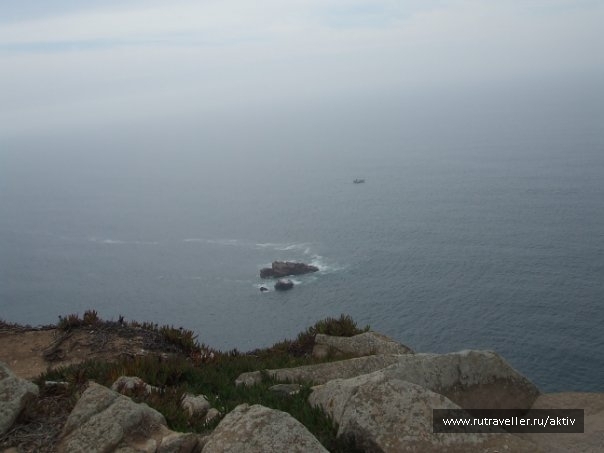 photo 469489