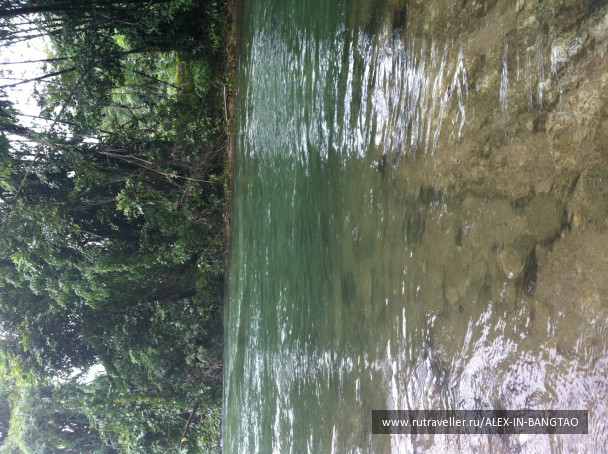 photo 425758