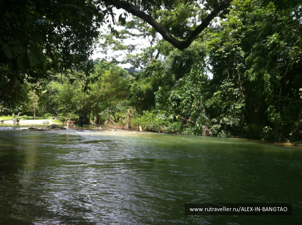 photo 425759