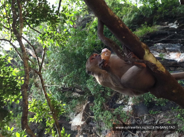 photo 425765