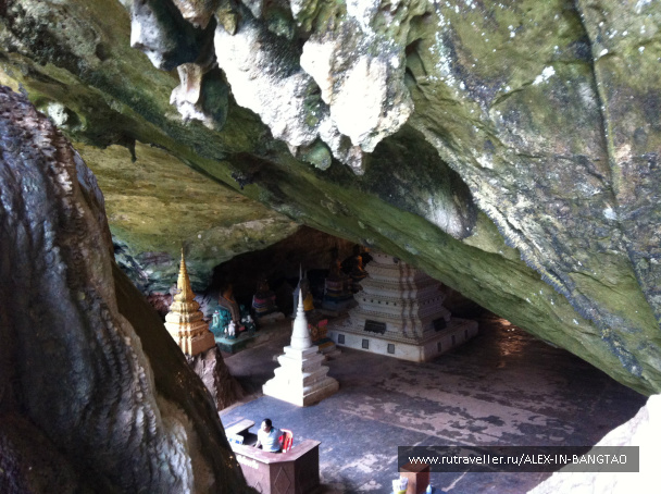 photo 425767