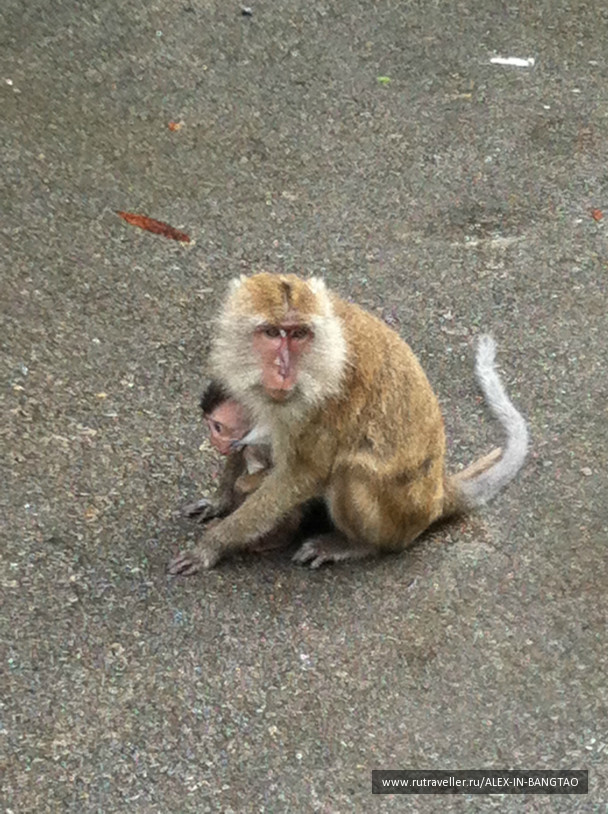 photo 425769