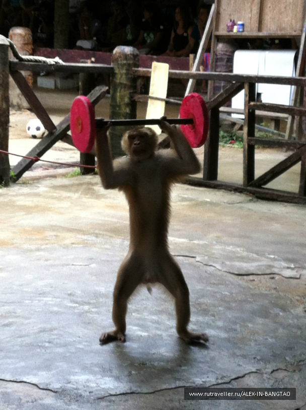 photo 425770