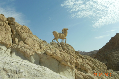 photo 273198