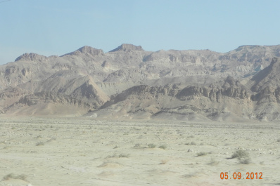 photo 273203