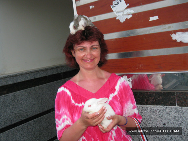 photo 412077