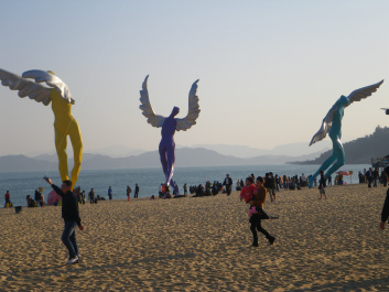 photo 235442