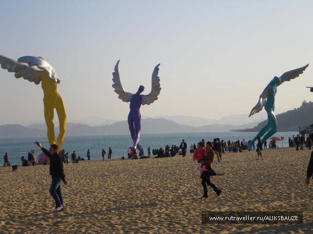 photo 235442