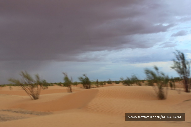 photo 1554747