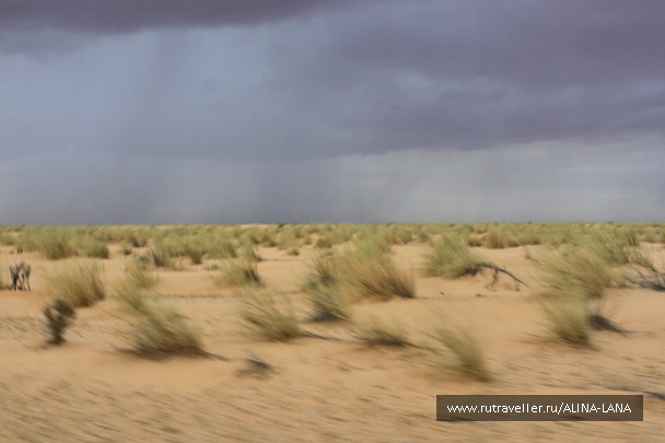 photo 1554750