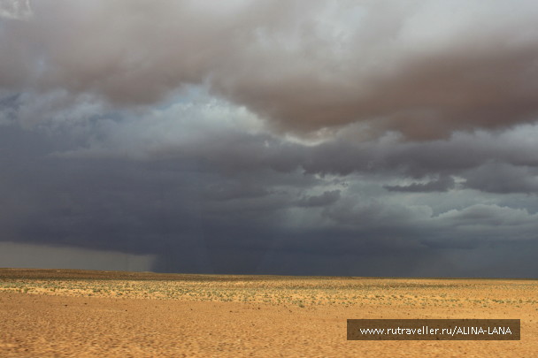 photo 1554754