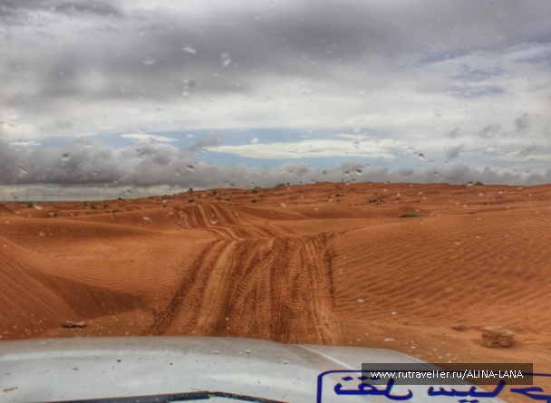 photo 1587745