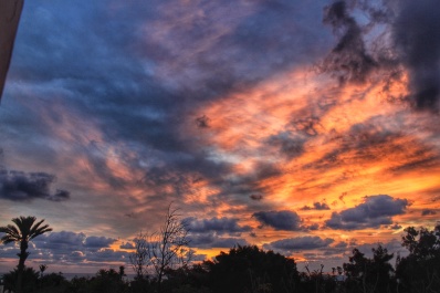 photo 1594774