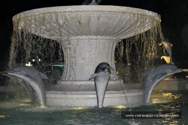 photo 1069591