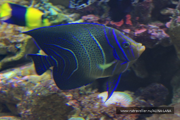 photo 1069605