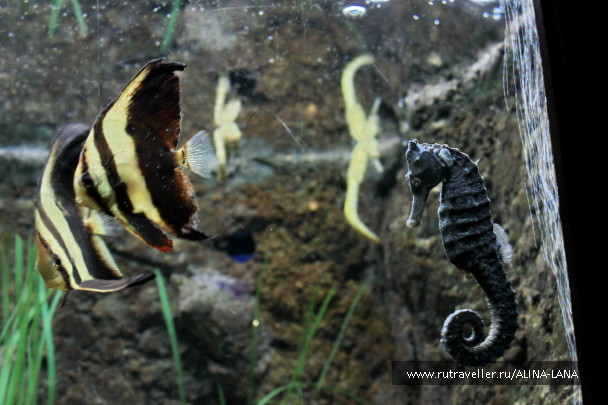 photo 1069610