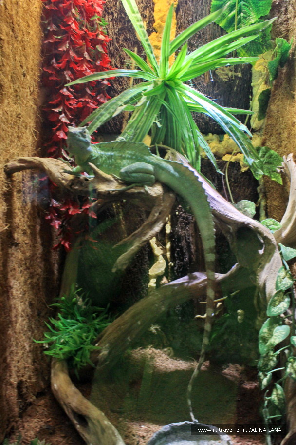 photo 1069613