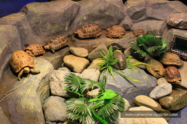 photo 1069614