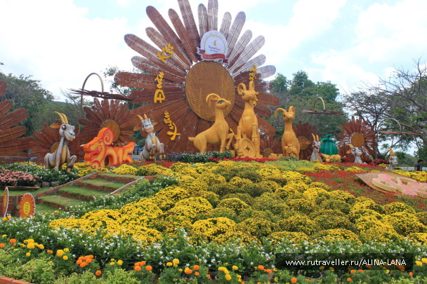 photo 1069616