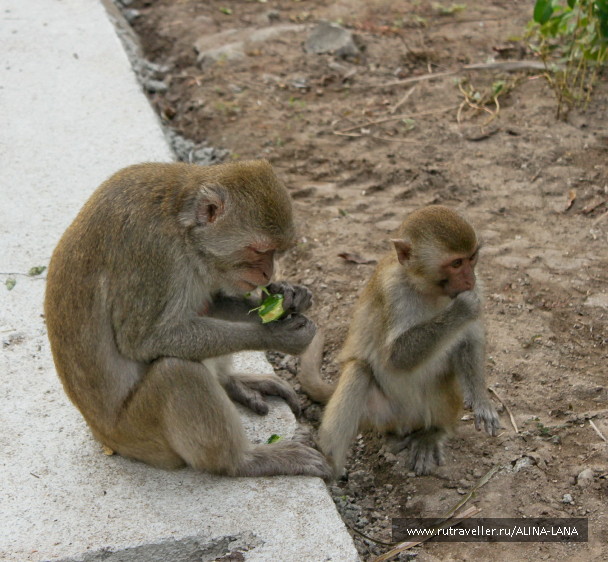 photo 303356