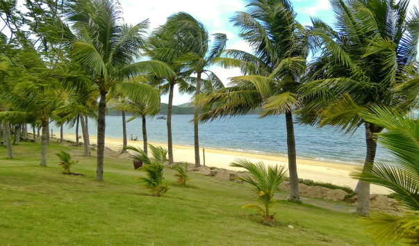 P1010380