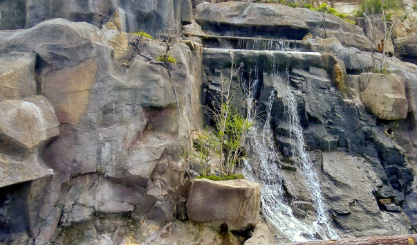 P1010363