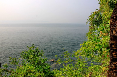 photo 1427819