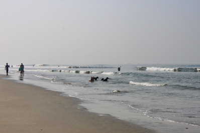 photo 1427852