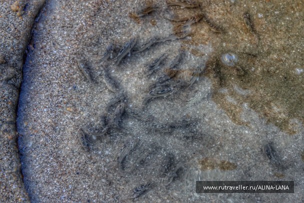 photo 1427856
